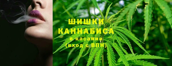 хмурый Рославль