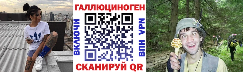 Псилоцибиновые грибы Psilocybe Междуреченск