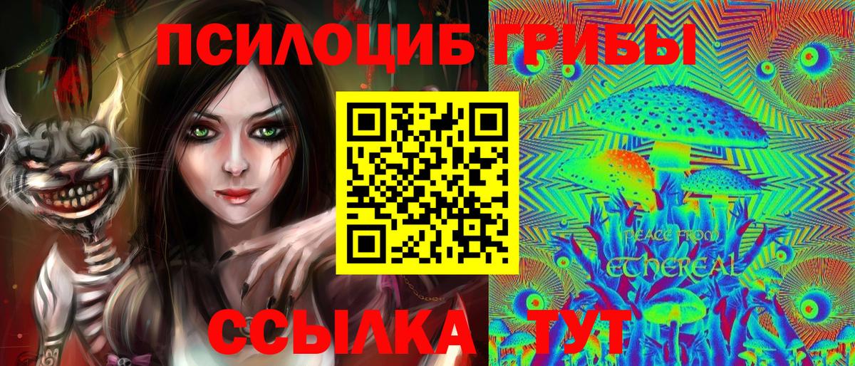 Псилоцибиновые грибы MAGIC MUSHROOMS  Вход с VPN  Псилоцибиновые грибы мицелий  Междуреченск 